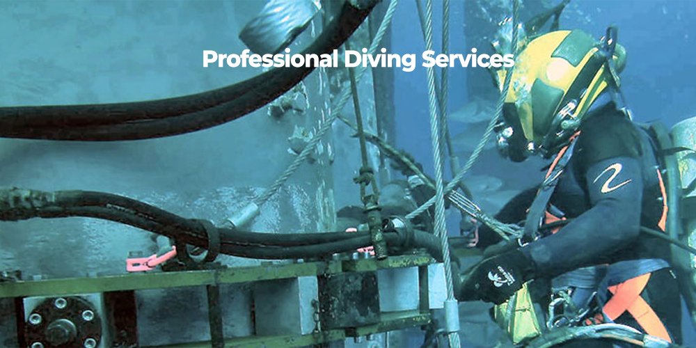 Professional Diving Services in Egypt